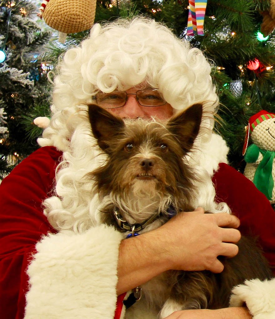 Santa pet photos benefit the South Pacific County Humane Society
