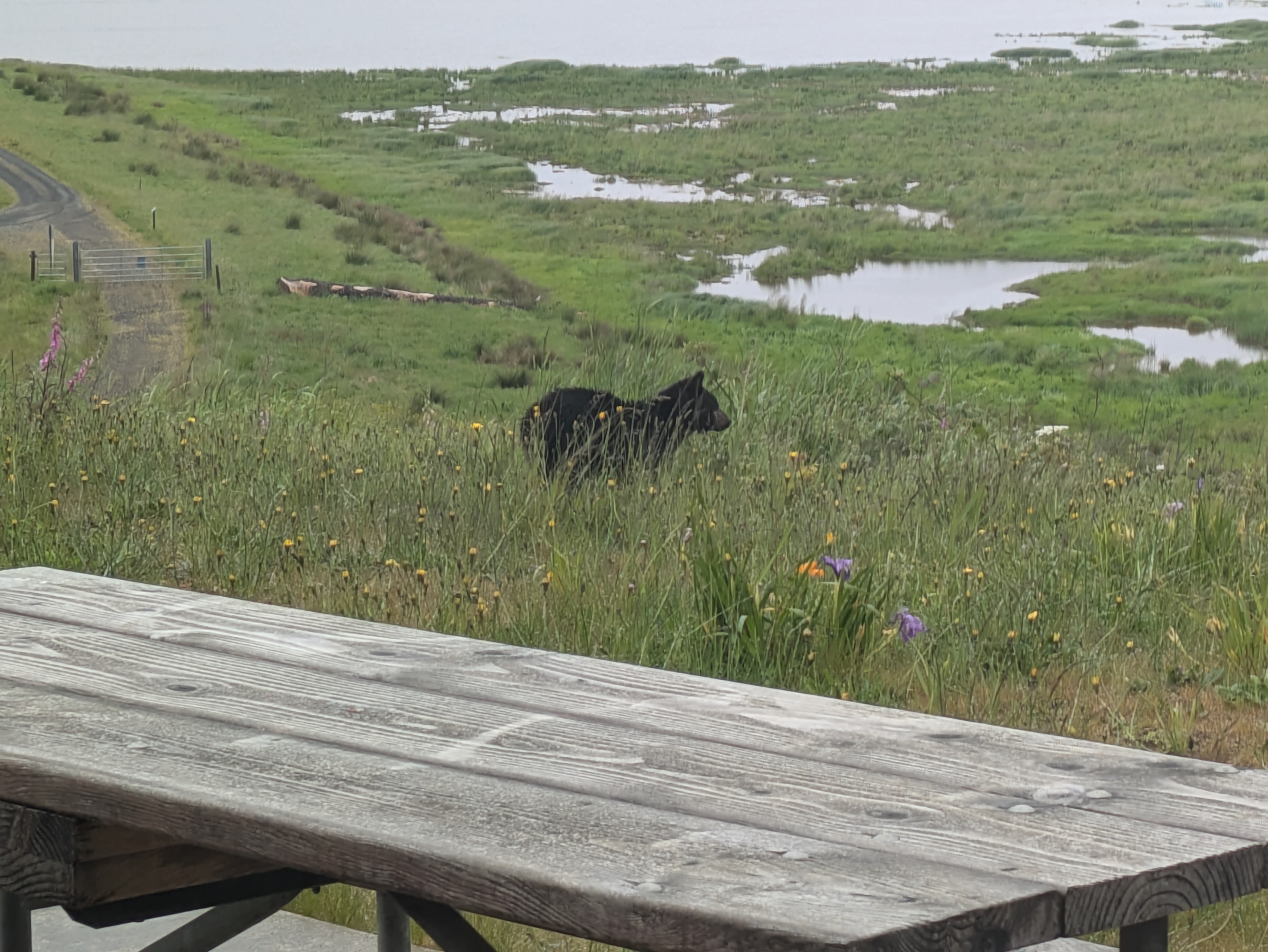 Efficient Warehousing \u0026 Materials Handling for Seedsmen, image size:4624x3472