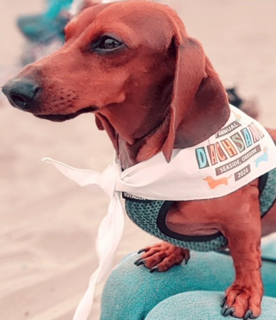 Seaside civic leaders spread the cash to boost events, groups